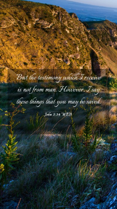 Picture 03 - John 5:34 WEB Mobile Phone Wallpaper - But the testimony which I receive is not from - Mobile Bible Verse Wallpaper