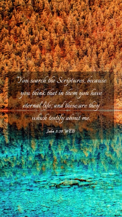 Picture 03 - John 5:39 WEB Mobile Phone Wallpaper - 