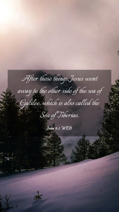 Picture 03 - John 6:1 WEB Mobile Phone Wallpaper - After these things, Jesus went away to the other - Mobile Bible Verse Wallpaper