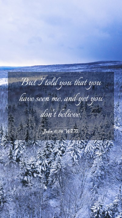 Picture 03 - John 6:36 WEB Mobile Phone Wallpaper - But I told you that you have seen me, and yet you - Mobile Bible Verse Wallpaper