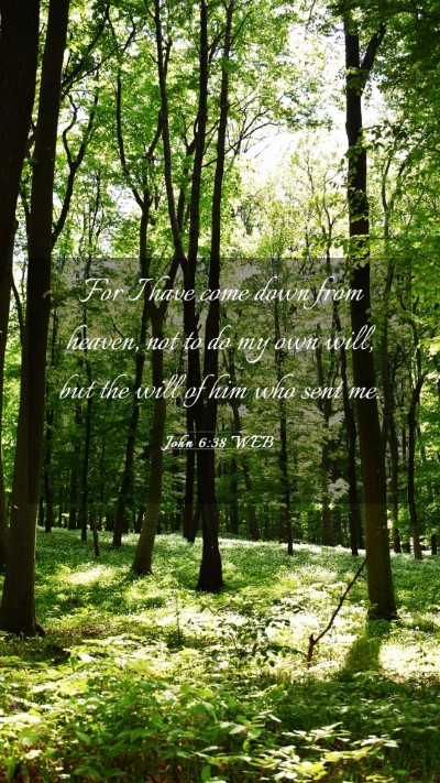 Picture 03 - John 6:38 WEB Mobile Phone Wallpaper - For I have come down from heaven, not to do my - Mobile Bible Verse Wallpaper