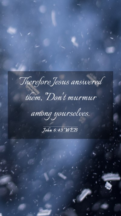 Picture 03 - John 6:43 WEB Mobile Phone Wallpaper - Therefore Jesus answered them, 