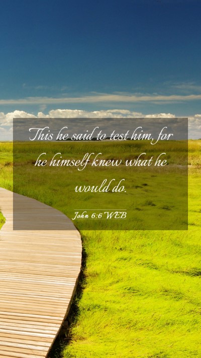 Picture 03 - John 6:6 WEB Mobile Phone Wallpaper - This he said to test him, for he himself knew - Mobile Bible Verse Wallpaper
