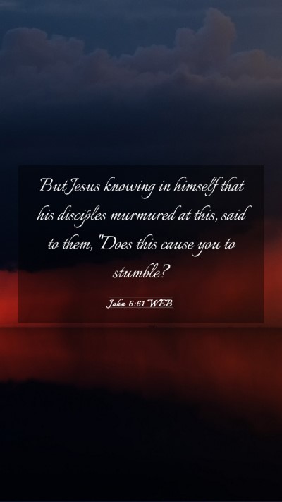 Picture 03 - John 6:61 WEB Mobile Phone Wallpaper - But Jesus knowing in himself that his disciples - Mobile Bible Verse Wallpaper