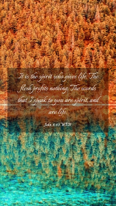 Picture 03 - John 6:63 WEB Mobile Phone Wallpaper - It is the spirit who gives life. The flesh - Mobile Bible Verse Wallpaper