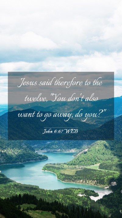 Picture 03 - John 6:67 WEB Mobile Phone Wallpaper - Jesus said therefore to the twelve, 