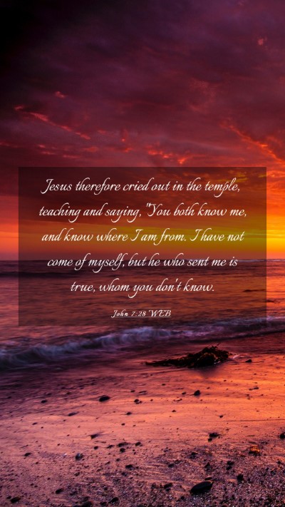 Picture 03 - John 7:28 WEB Mobile Phone Wallpaper - Jesus therefore cried out in the temple, teaching - Mobile Bible Verse Wallpaper