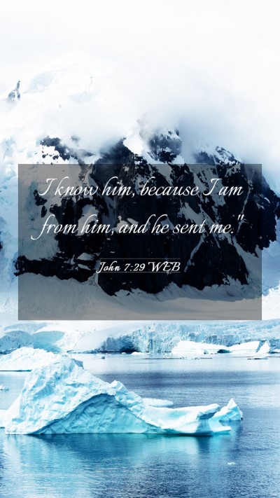 Picture 03 - John 7:29 WEB Mobile Phone Wallpaper - I know him, because I am from him, and he sent - Mobile Bible Verse Wallpaper