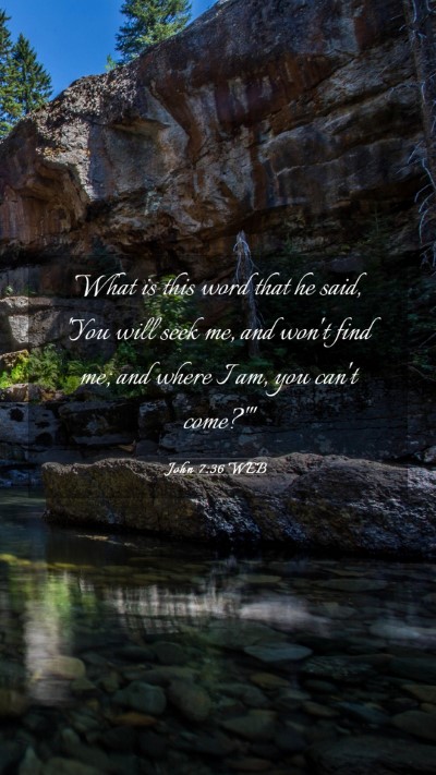 Picture 03 - John 7:36 WEB Mobile Phone Wallpaper - What is this word that he said, 'You will seek - Mobile Bible Verse Wallpaper