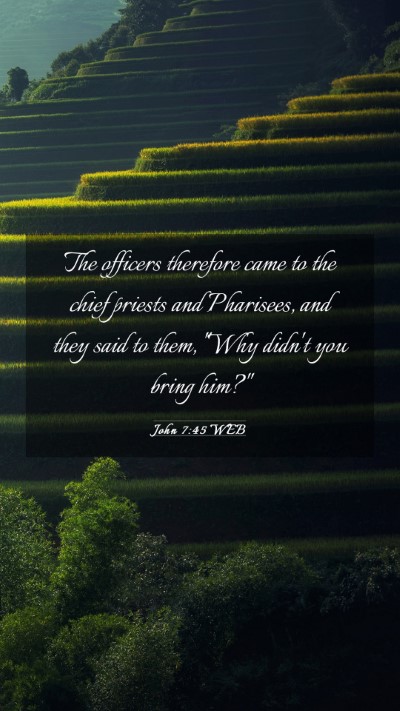 Picture 03 - John 7:45 WEB Mobile Phone Wallpaper - The officers therefore came to the chief priests - Mobile Bible Verse Wallpaper