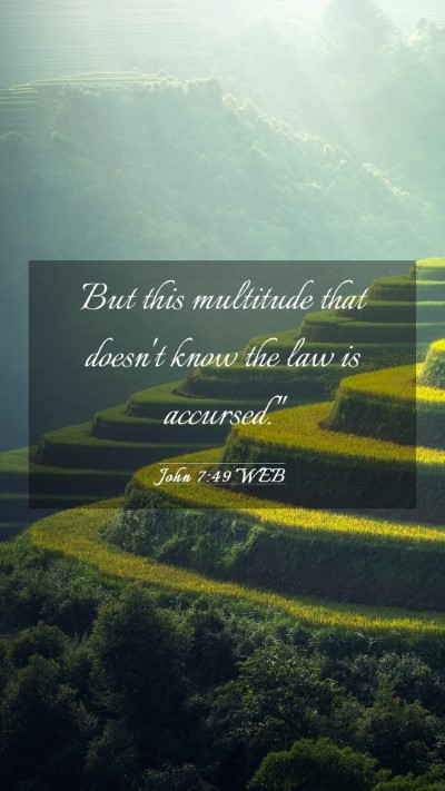 Picture 03 - John 7:49 WEB Mobile Phone Wallpaper - But this multitude that doesn't know the law is - Mobile Bible Verse Wallpaper
