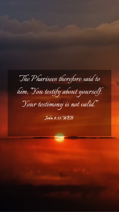 Picture 03 - John 8:13 WEB Mobile Phone Wallpaper - The Pharisees therefore said to him, 