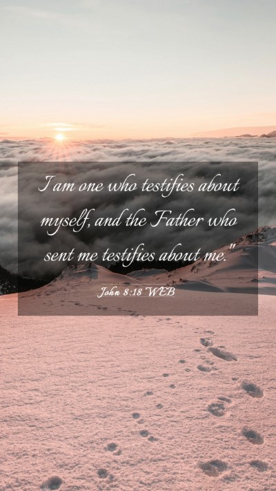 Picture 03 - John 8:18 WEB Mobile Phone Wallpaper - I am one who testifies about myself, and the - Mobile Bible Verse Wallpaper