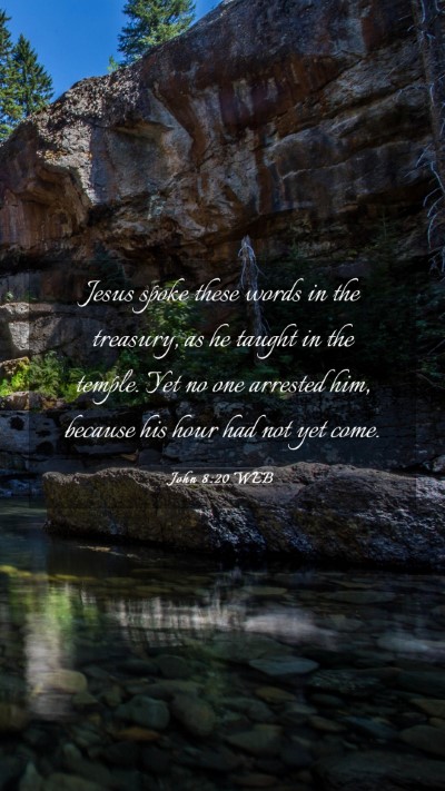 Picture 03 - John 8:20 WEB Mobile Phone Wallpaper - Jesus spoke these words in the treasury, as he - Mobile Bible Verse Wallpaper