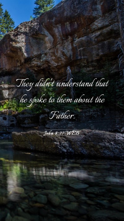 Picture 03 - John 8:27 WEB Mobile Phone Wallpaper - They didn't understand that he spoke to them - Mobile Bible Verse Wallpaper