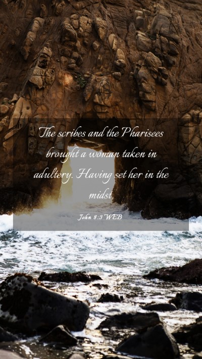 Picture 03 - John 8:3 WEB Mobile Phone Wallpaper - The scribes and the Pharisees brought a woman - Mobile Bible Verse Wallpaper