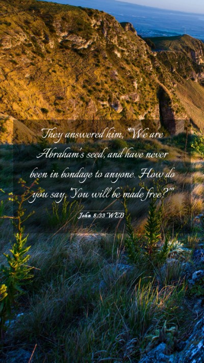 Picture 03 - John 8:33 WEB Mobile Phone Wallpaper - They answered him, 