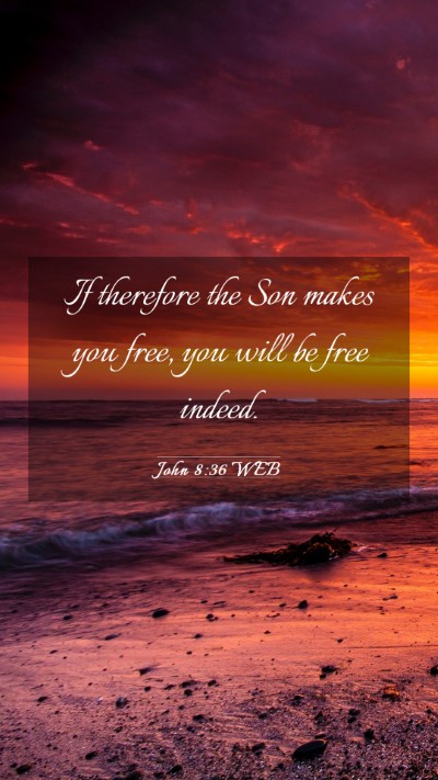 Picture 03 - John 8:36 WEB Mobile Phone Wallpaper - If therefore the Son makes you free, you will be - Mobile Bible Verse Wallpaper