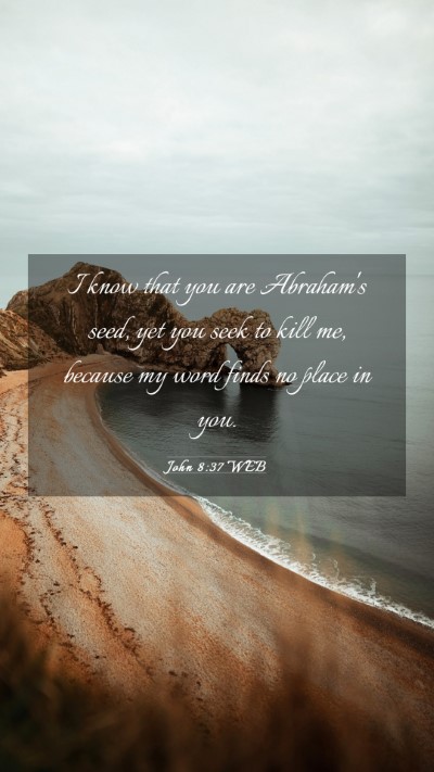 Picture 03 - John 8:37 WEB Mobile Phone Wallpaper - I know that you are Abraham's seed, yet you seek - Mobile Bible Verse Wallpaper