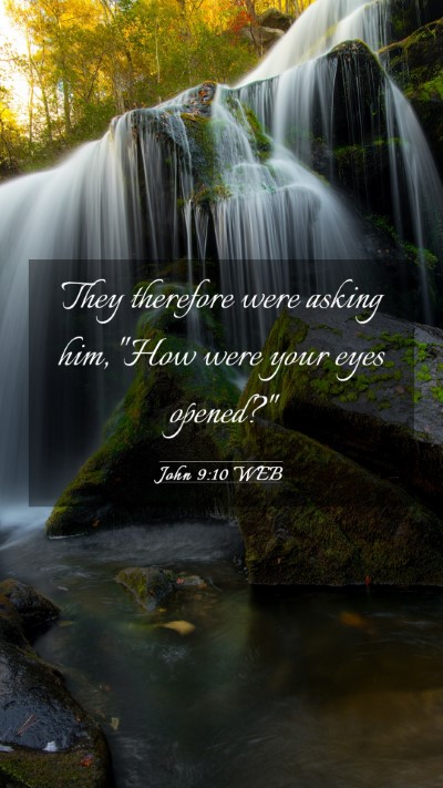 Picture 03 - John 9:10 WEB Mobile Phone Wallpaper - They therefore were asking him, 