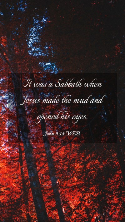 Picture 03 - John 9:14 WEB Mobile Phone Wallpaper - It was a Sabbath when Jesus made the mud and - Mobile Bible Verse Wallpaper