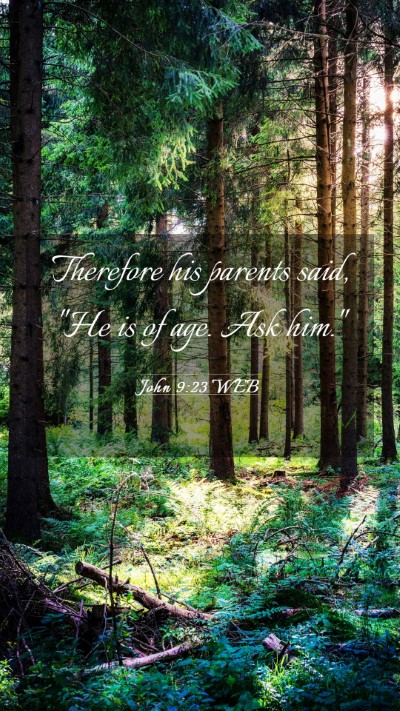 Picture 03 - John 9:23 WEB Mobile Phone Wallpaper - Therefore his parents said, 