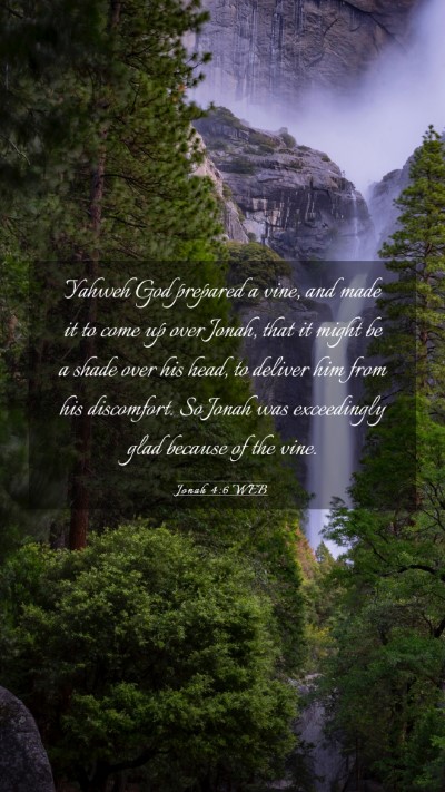 Picture 03 - Jonah 4:6 WEB Mobile Phone Wallpaper - Yahweh God prepared a vine, and made it to come - Mobile Bible Verse Wallpaper