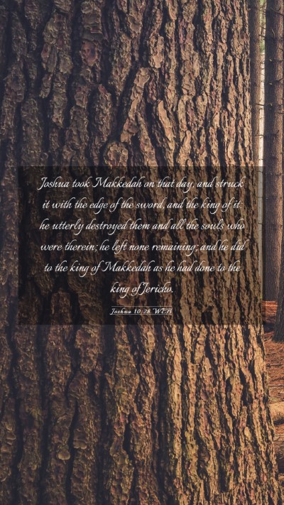 Picture 03 - Joshua 10:28 WEB Mobile Phone Wallpaper - Joshua took Makkedah on that day, and struck it - Mobile Bible Verse Wallpaper