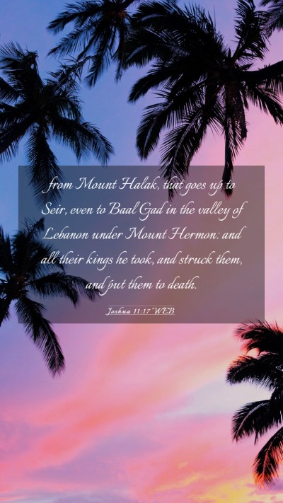 Picture 03 - Joshua 11:17 WEB Mobile Phone Wallpaper - from Mount Halak, that goes up to Seir, even to - Mobile Bible Verse Wallpaper