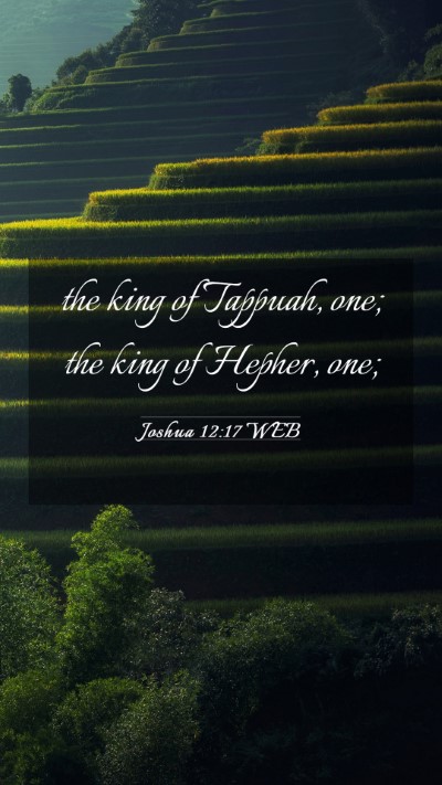 Picture 03 - Joshua 12:17 WEB Mobile Phone Wallpaper - the king of Tappuah, one; the king of Hepher, - Mobile Bible Verse Wallpaper