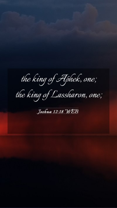 Picture 03 - Joshua 12:18 WEB Mobile Phone Wallpaper - the king of Aphek, one; the king of Lassharon, - Mobile Bible Verse Wallpaper