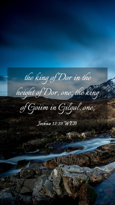 Picture 03 - Joshua 12:23 WEB Mobile Phone Wallpaper - the king of Dor in the height of Dor, one; the - Mobile Bible Verse Wallpaper