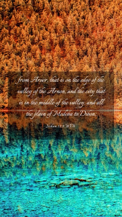 Picture 03 - Joshua 13:9 WEB Mobile Phone Wallpaper - from Aroer, that is on the edge of the valley of - Mobile Bible Verse Wallpaper