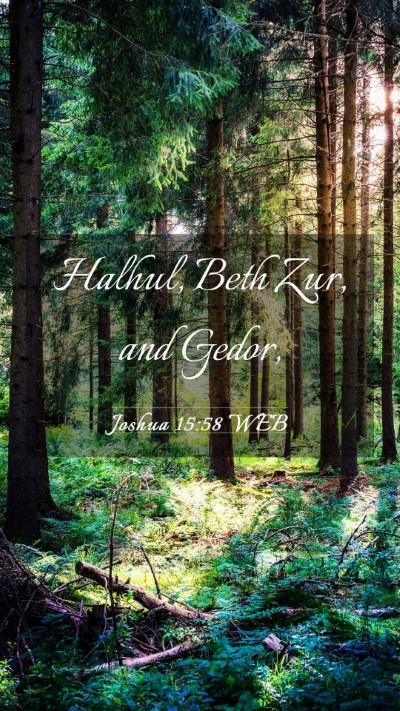 Picture 03 - Joshua 15:58 WEB Mobile Phone Wallpaper - Halhul, Beth Zur, and - Mobile Bible Verse Wallpaper