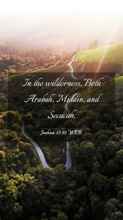 Picture 03 - Joshua 15:61 WEB Mobile Phone Wallpaper - In the wilderness, Beth Arabah, Middin, and - Mobile Bible Verse Wallpaper
