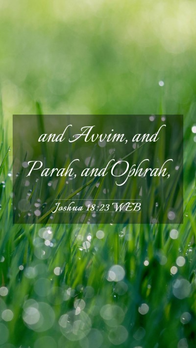 Picture 03 - Joshua 18:23 WEB Mobile Phone Wallpaper - and Avvim, and Parah, and - Mobile Bible Verse Wallpaper