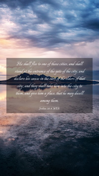 Picture 03 - Joshua 20:4 WEB Mobile Phone Wallpaper - He shall flee to one of those cities, and shall - Mobile Bible Verse Wallpaper