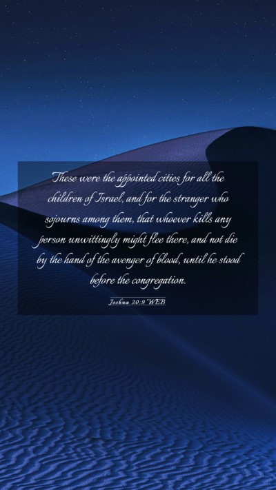 Picture 03 - Joshua 20:9 WEB Mobile Phone Wallpaper - These were the appointed cities for all the - Mobile Bible Verse Wallpaper