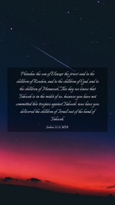 Picture 03 - Joshua 22:31 WEB Mobile Phone Wallpaper - Phinehas the son of Eleazar the priest said to - Mobile Bible Verse Wallpaper