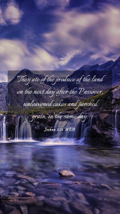 Picture 03 - Joshua 5:11 WEB Mobile Phone Wallpaper - They ate of the produce of the land on the next - Mobile Bible Verse Wallpaper
