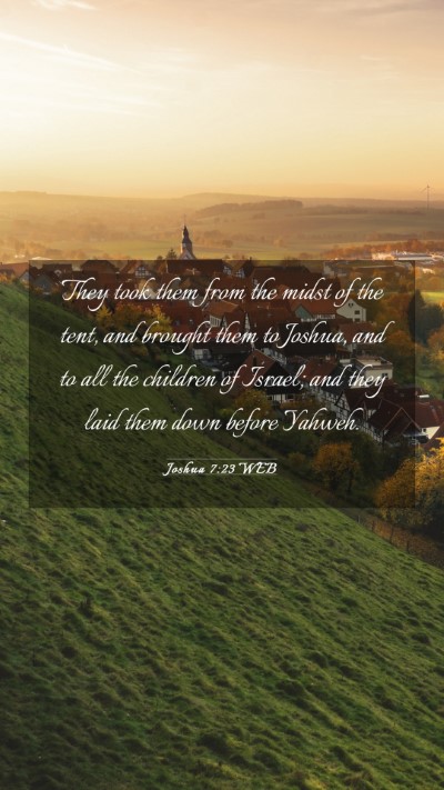 Picture 03 - Joshua 7:23 WEB Mobile Phone Wallpaper - They took them from the midst of the tent, and - Mobile Bible Verse Wallpaper