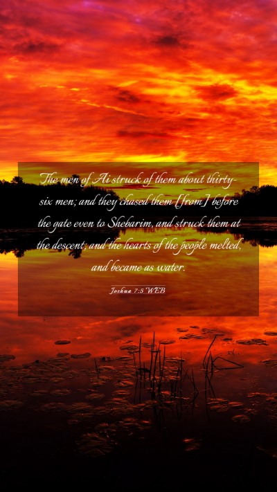 Picture 03 - Joshua 7:5 WEB Mobile Phone Wallpaper - The men of Ai struck of them about thirty-six - Mobile Bible Verse Wallpaper