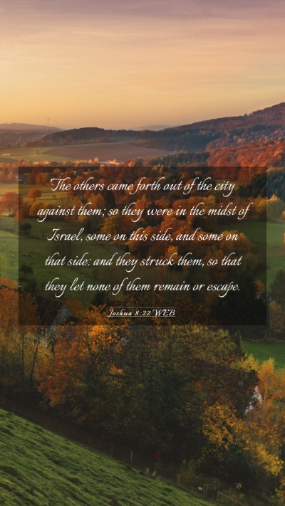 Picture 03 - Joshua 8:22 WEB Mobile Phone Wallpaper - The others came forth out of the city against - Mobile Bible Verse Wallpaper