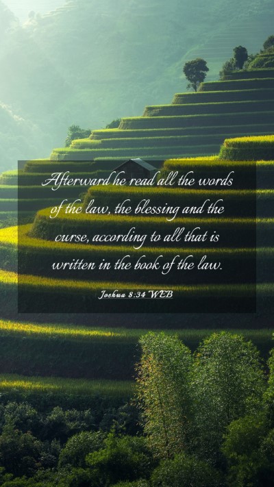 Picture 03 - Joshua 8:34 WEB Mobile Phone Wallpaper - Afterward he read all the words of the law, the - Mobile Bible Verse Wallpaper