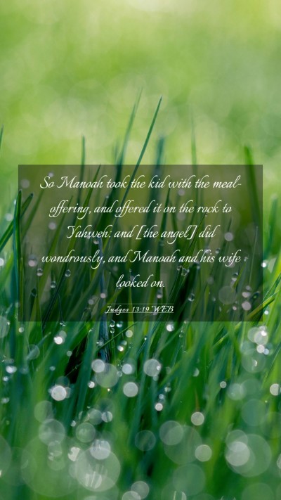 Picture 03 - Judges 13:19 WEB Mobile Phone Wallpaper - So Manoah took the kid with the meal-offering, - Mobile Bible Verse Wallpaper