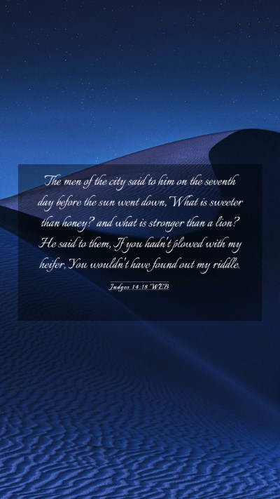 Picture 03 - Judges 14:18 WEB Mobile Phone Wallpaper - The men of the city said to him on the seventh - Mobile Bible Verse Wallpaper