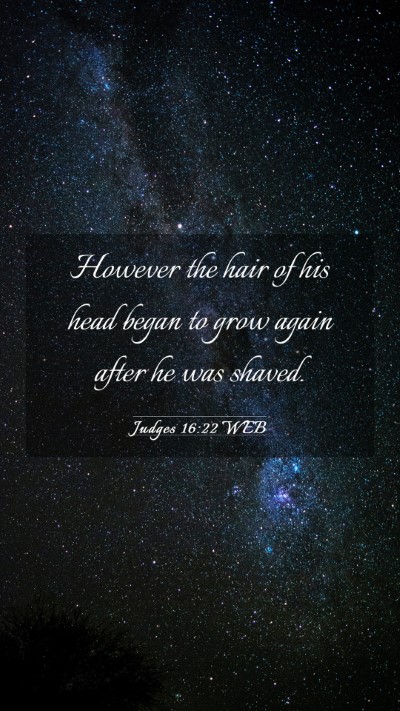 Picture 03 - Judges 16:22 WEB Mobile Phone Wallpaper - However the hair of his head began to grow again - Mobile Bible Verse Wallpaper