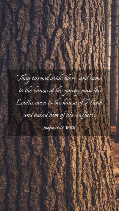 Picture 03 - Judges 18:15 WEB Mobile Phone Wallpaper - They turned aside there, and came to the house of - Mobile Bible Verse Wallpaper