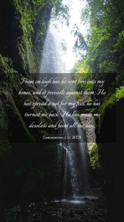 Picture 03 - Lamentations 1:13 WEB Mobile Phone Wallpaper - From on high has he sent fire into my bones, and - Mobile Bible Verse Wallpaper