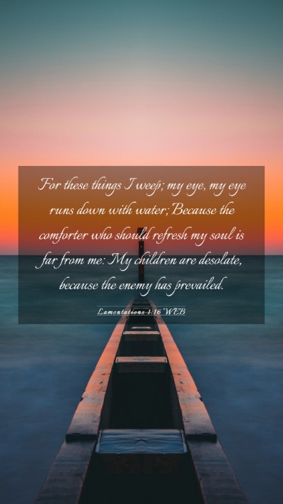 Picture 03 - Lamentations 1:16 WEB Mobile Phone Wallpaper - For these things I weep; my eye, my eye runs down - Mobile Bible Verse Wallpaper